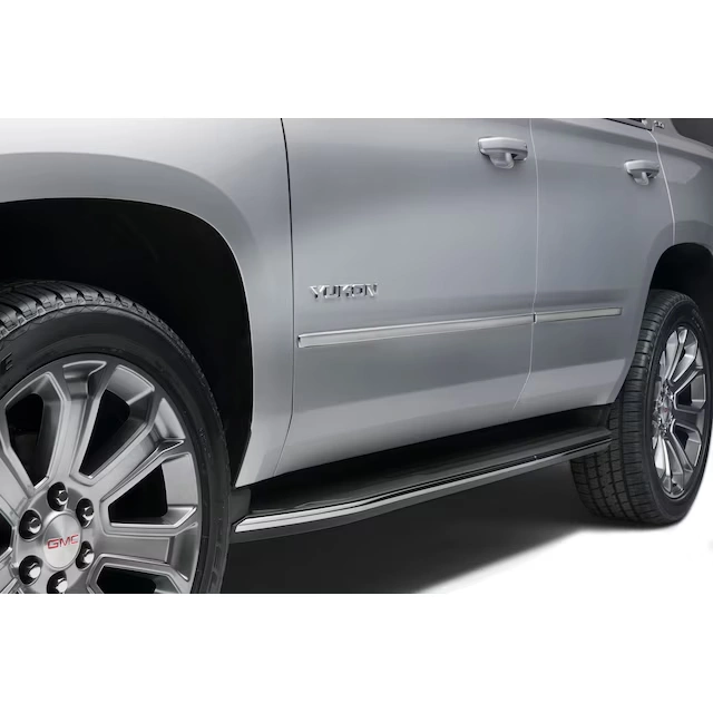 Front and Rear Smooth Door Moldings in Champagne Silver Metallic